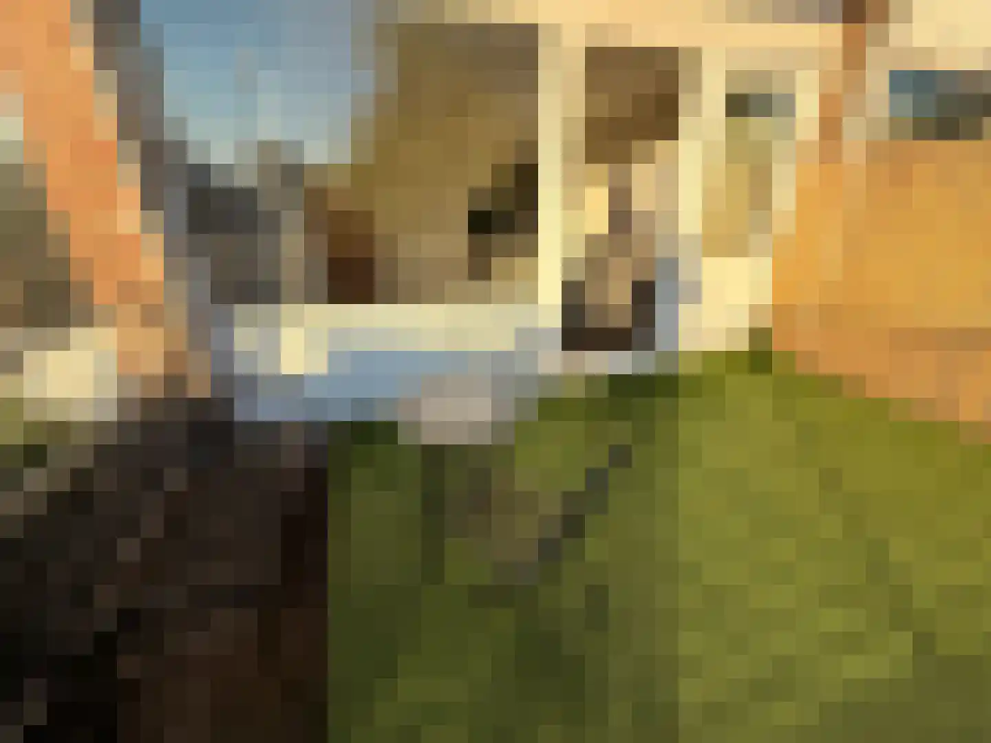 Dijkgraafplein 14 Amsterdam thumbnail 19