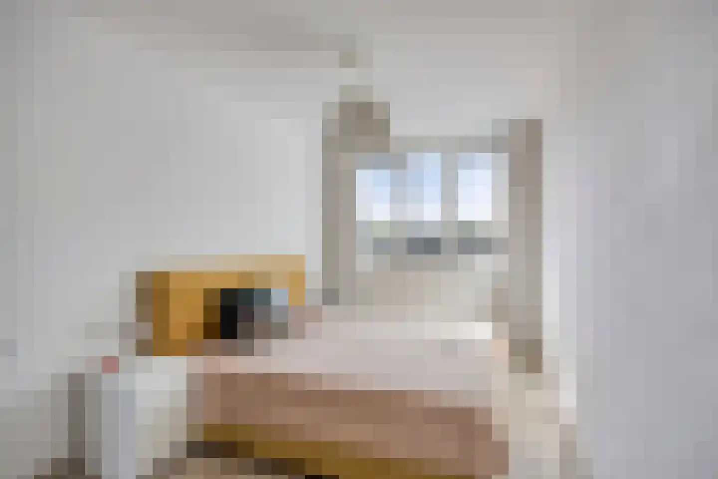 Dijkgraafplein 171 Amsterdam thumbnail 32