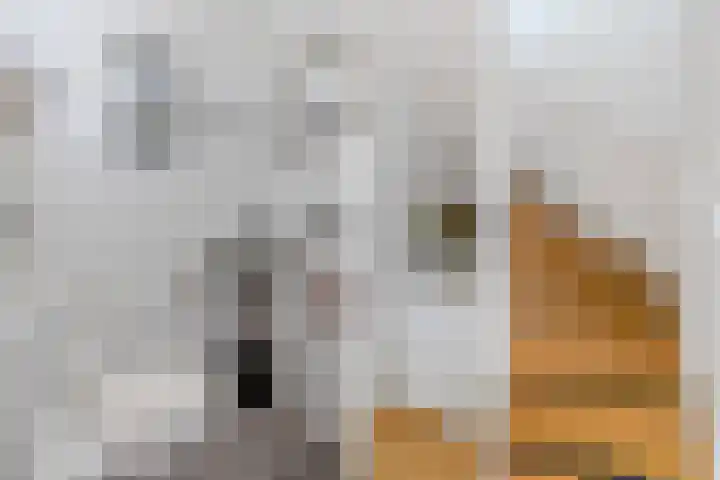 Dijkgraafplein 227 Amsterdam thumbnail 14
