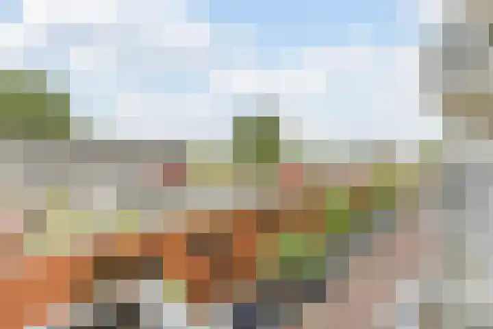 Dijkgraafplein 227 Amsterdam thumbnail 23