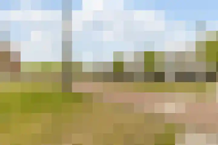Dijkgraafplein 227 Amsterdam thumbnail 25