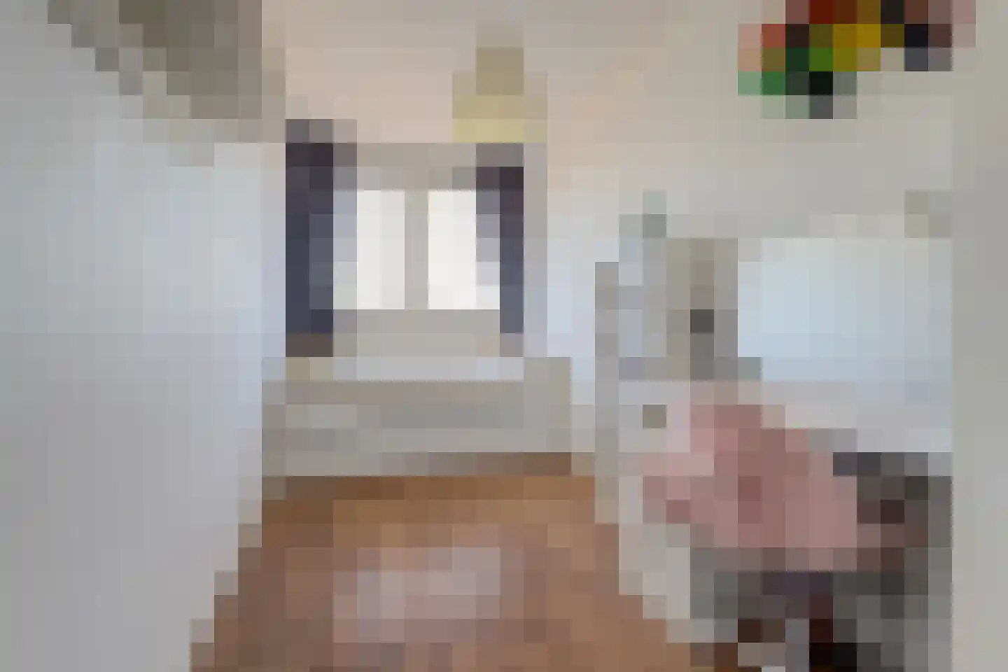 Dijkgraafplein 253 Amsterdam thumbnail 13