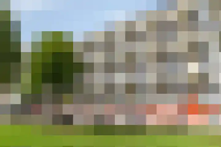 Dijkgraafplein 255 Amsterdam