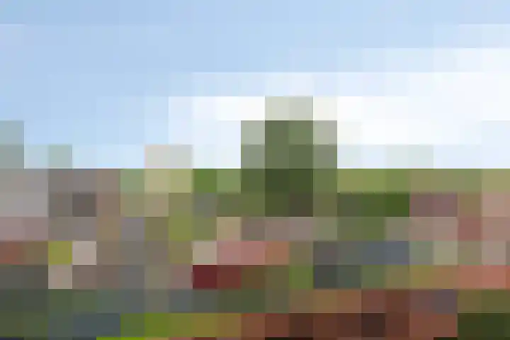 Dijkgraafplein 255 Amsterdam thumbnail 34