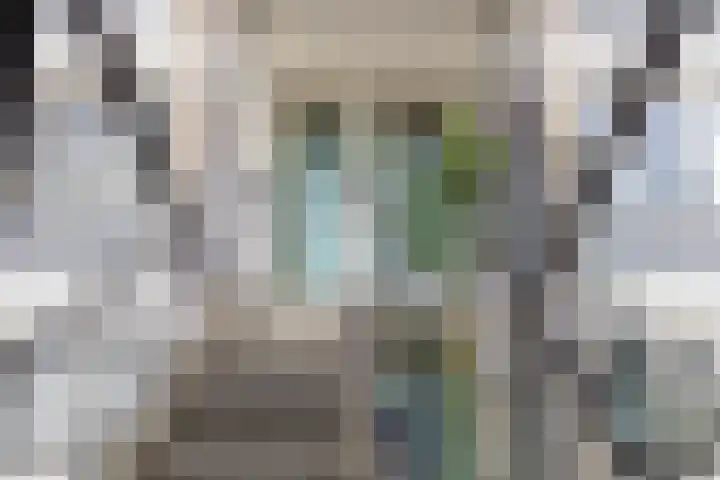 Dijkgraafplein 255 Amsterdam thumbnail 4