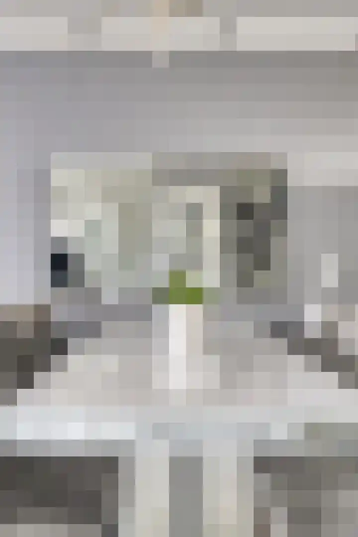 Dijkgraafplein 255 Amsterdam thumbnail 8