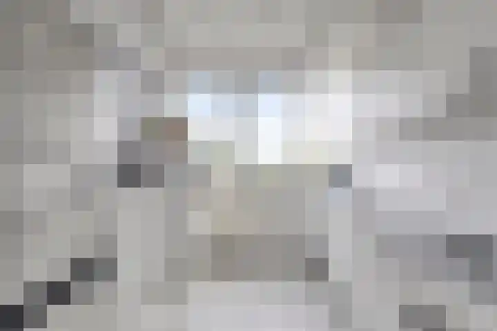 Dijkgraafplein 255 Amsterdam thumbnail 9