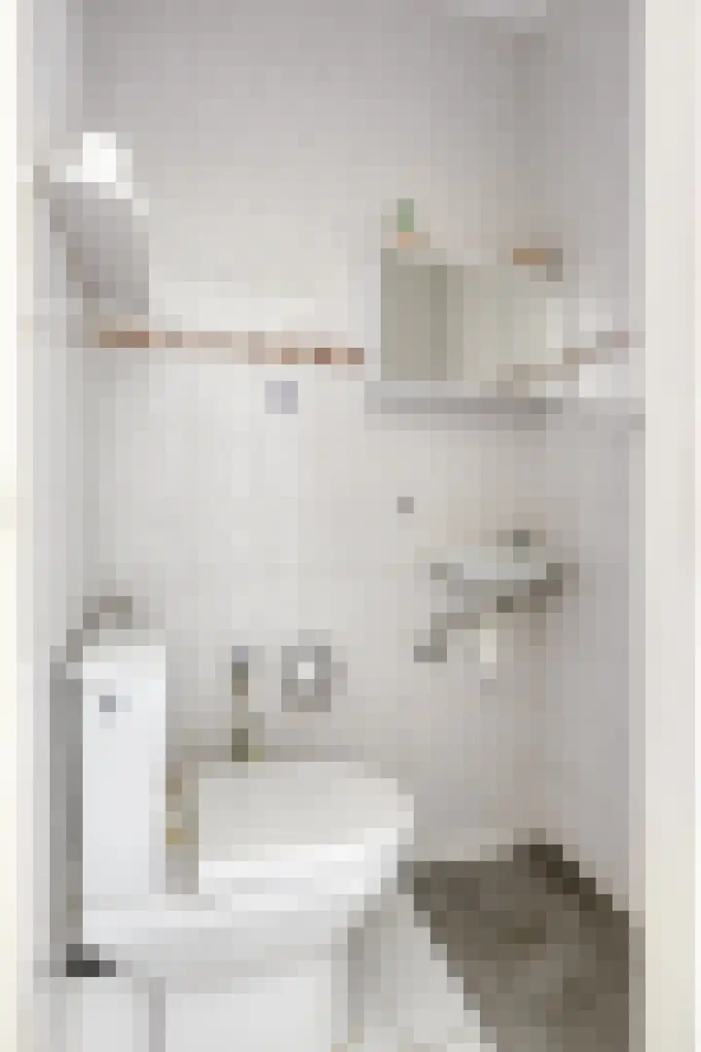 Dijkgraafplein 311 Amsterdam foto 3