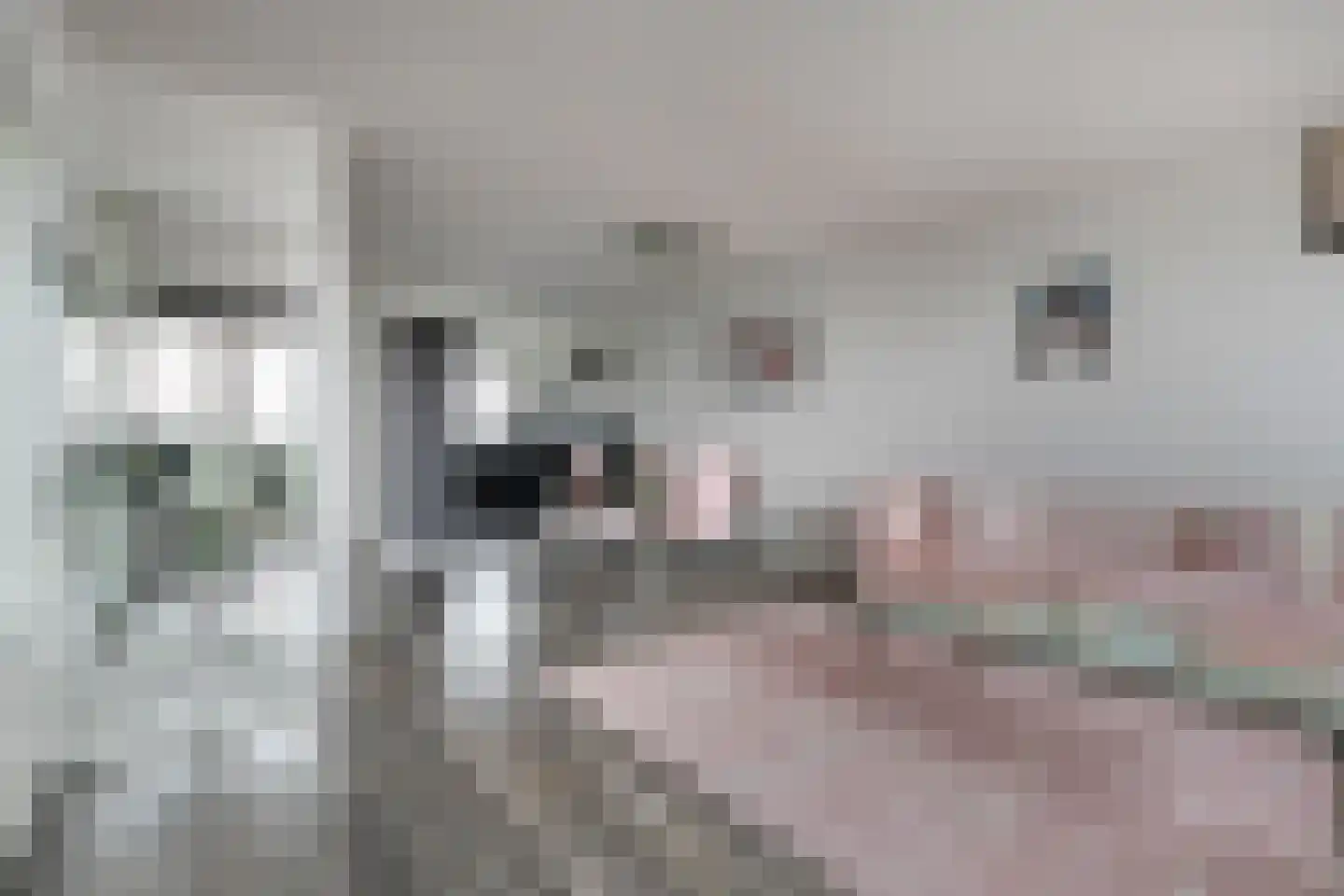 Dijkgraafplein 361 Amsterdam thumbnail 9