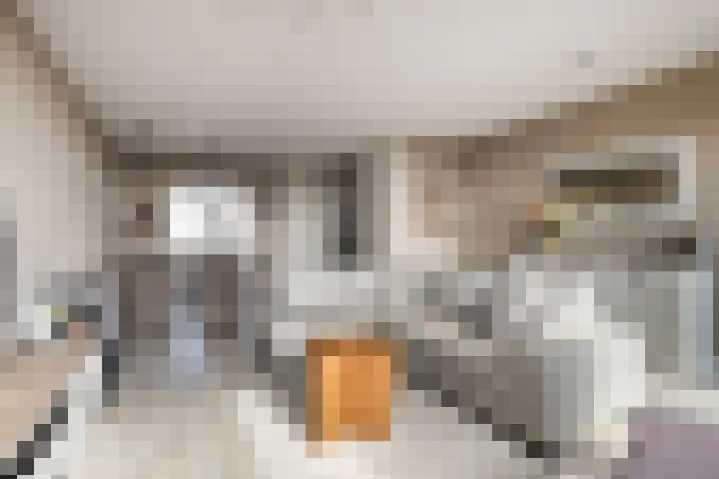 Dijkgraafplein 399 Amsterdam thumbnail 4