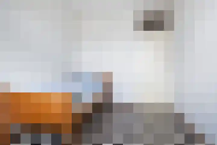 Dijkgraafplein 41 Amsterdam thumbnail 10