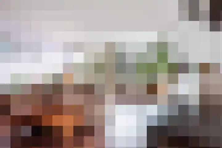 Dijkgraafplein 41 Amsterdam thumbnail 6