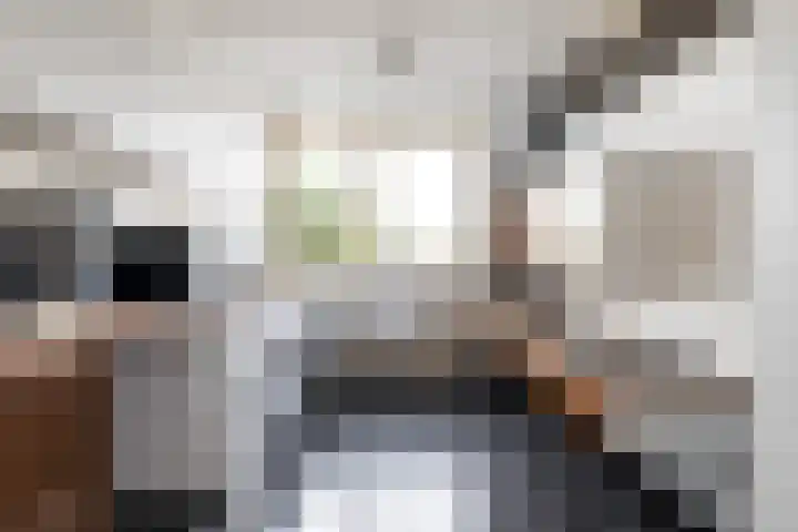 Dijkgraafplein 41 Amsterdam thumbnail 7