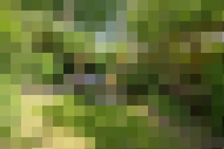 Dijkgraafseweg 4 Wageningen thumbnail 30