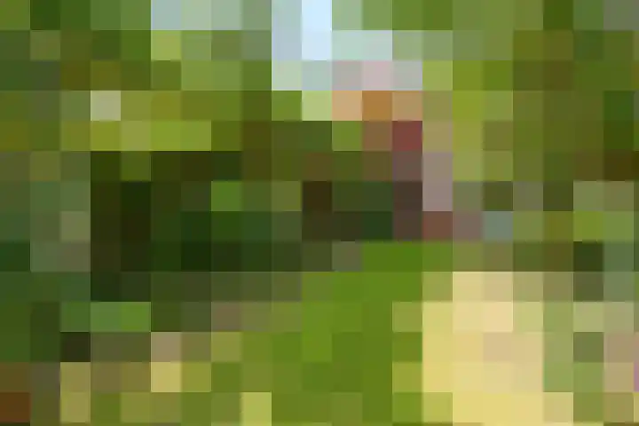 Dijkgraafseweg 4 Wageningen thumbnail 31