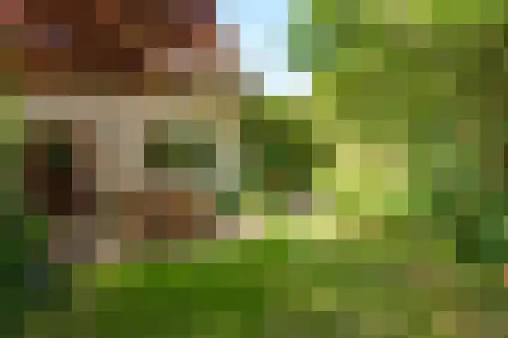 Dijkgraafseweg 4 Wageningen thumbnail 32