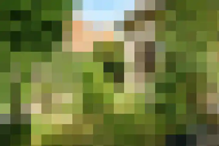 Dijkgraafseweg 4 Wageningen thumbnail 35