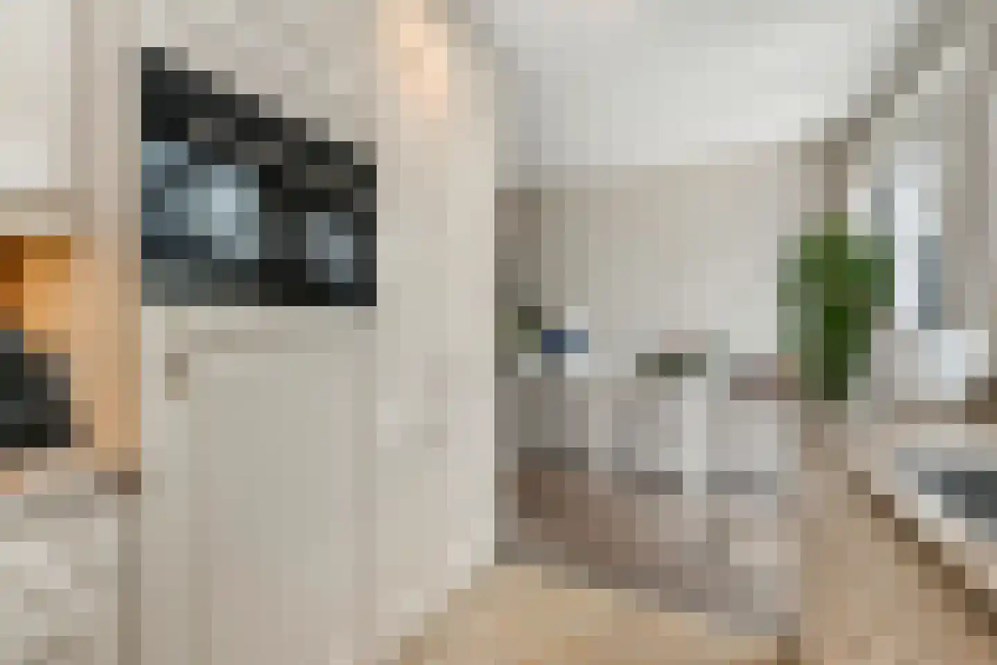 Dijkgraafslag 34 Gouda thumbnail 13