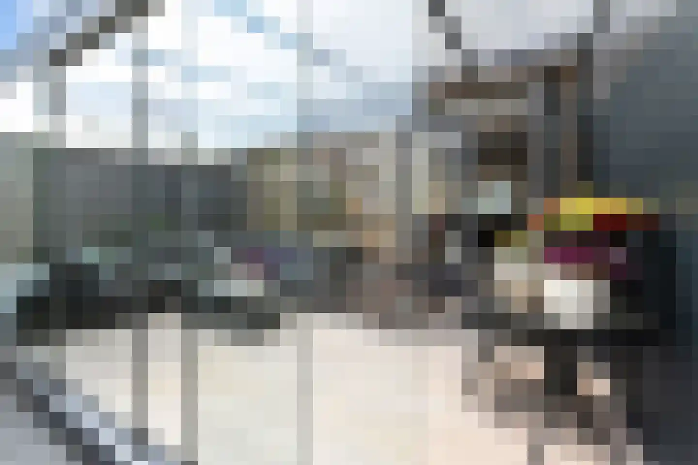 Dijkgraafslag 34 Gouda thumbnail 16