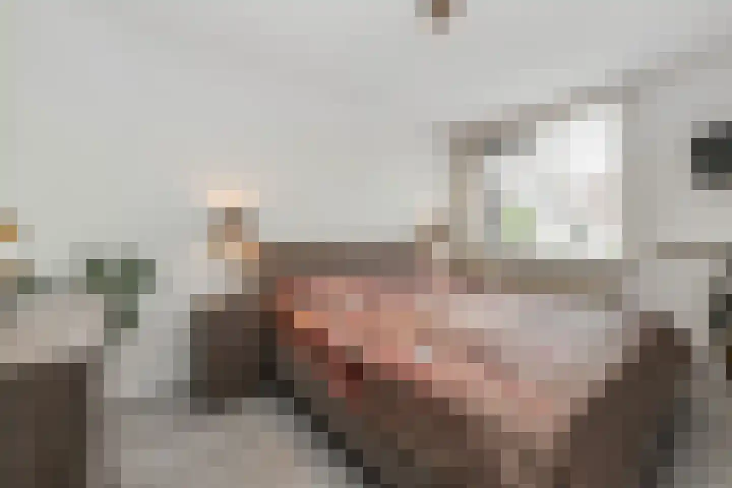 Dijkgraafslag 34 Gouda thumbnail 20