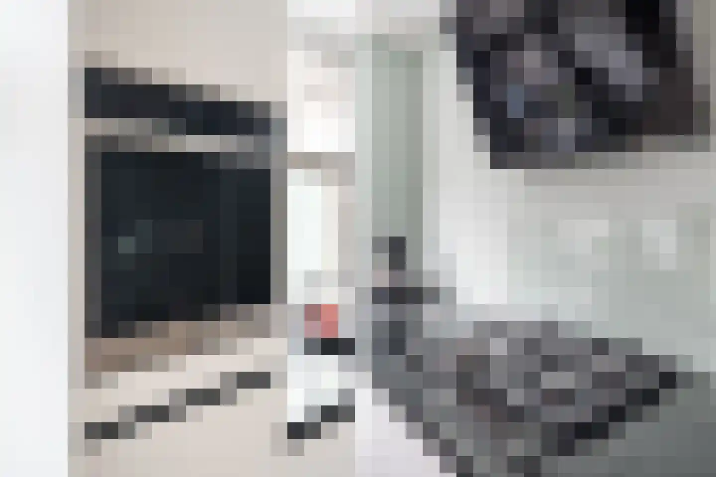Dijkgraafslag 54 Gouda thumbnail 17