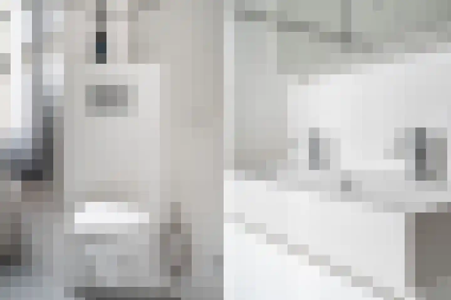 Dijkgraafslag 54 Gouda thumbnail 34