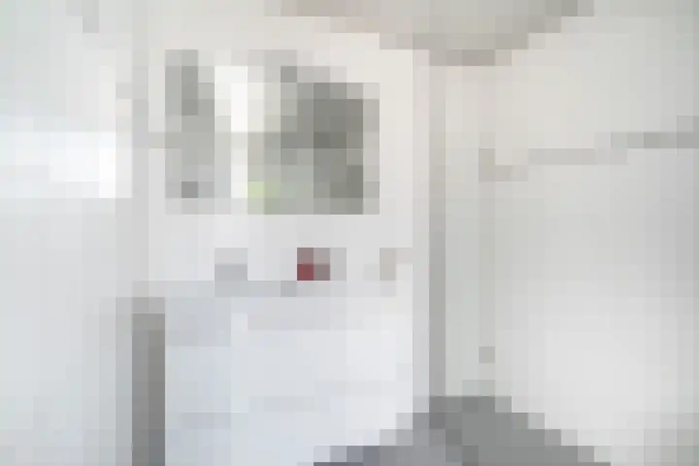 Dijkgraafslag 54 Gouda thumbnail 35