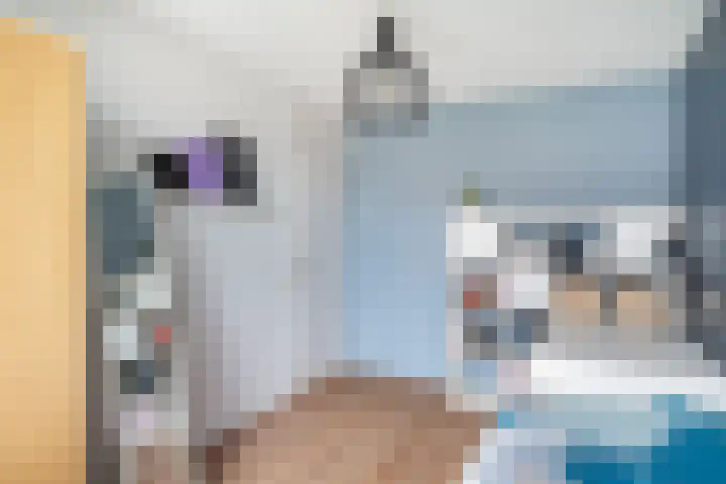 Dijkgraafslag 54 Gouda thumbnail 38