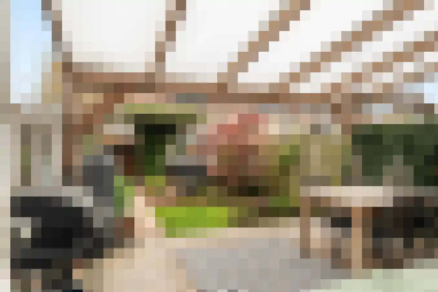 Dijkgraafslag 54 Gouda thumbnail 4
