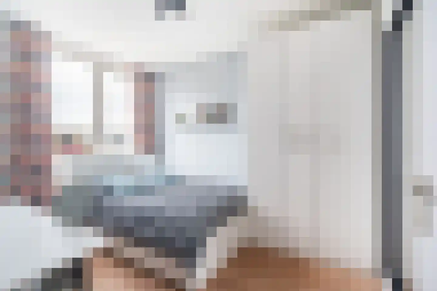 Dijkgraafslag 54 Gouda thumbnail 43