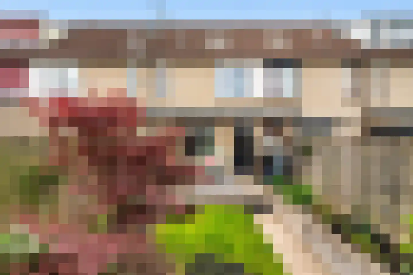 Dijkgraafslag 54 Gouda thumbnail 49