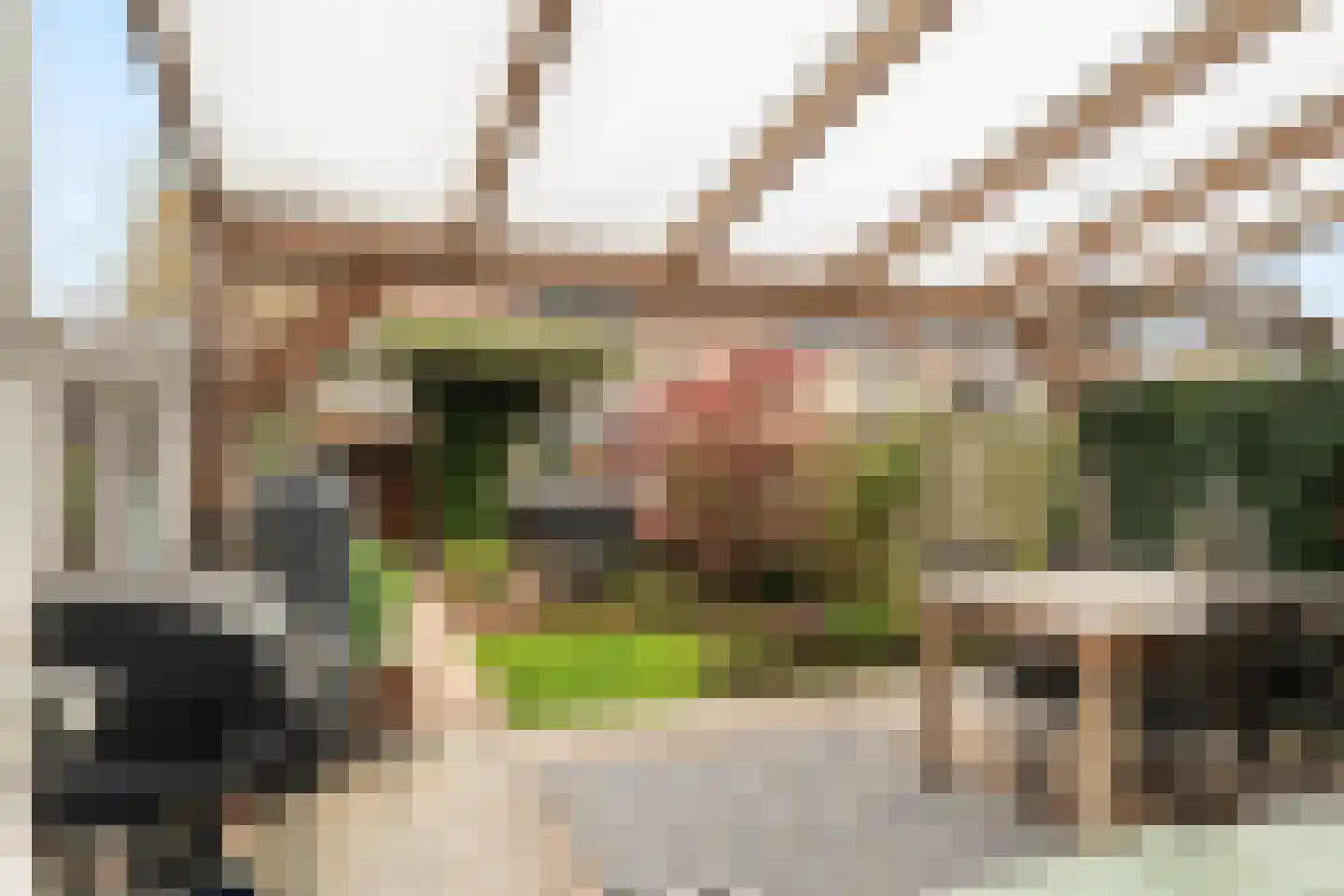 Dijkgraafslag 54 Gouda thumbnail 51
