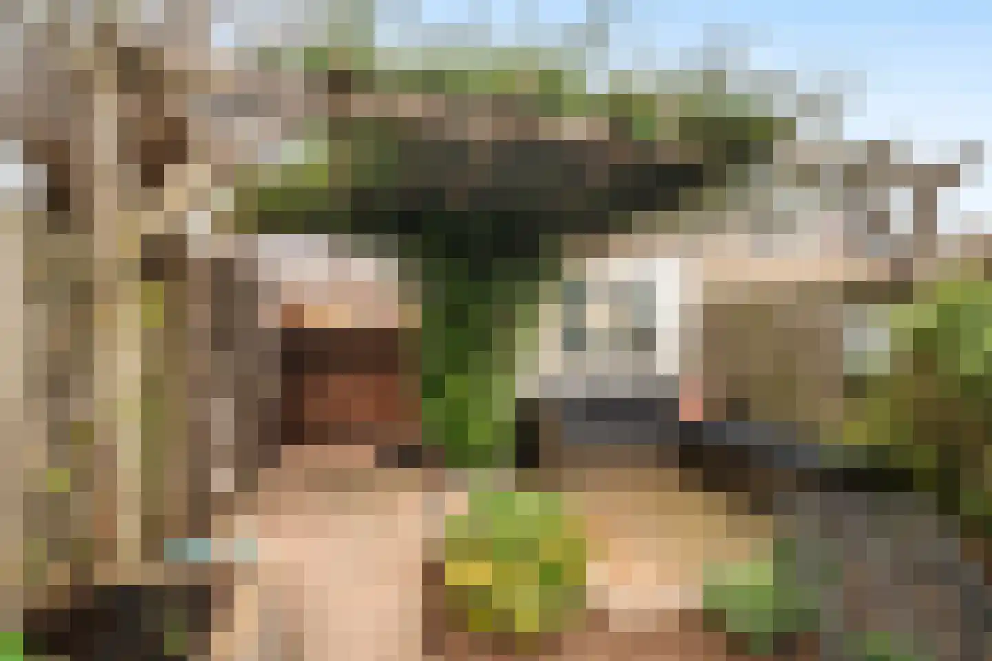 Dijkgraafslag 54 Gouda thumbnail 52