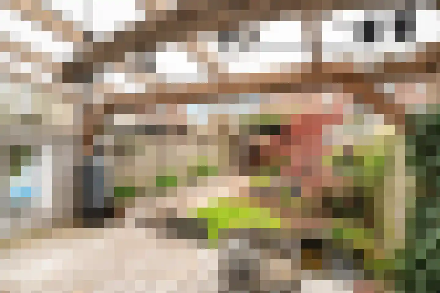 Dijkgraafslag 54 Gouda thumbnail 53
