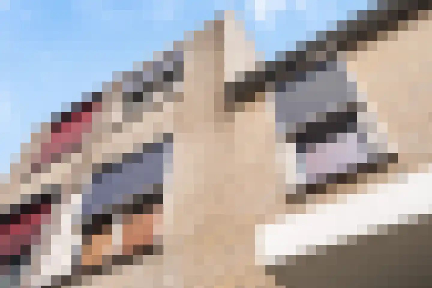 Dijkgraafslag 54 Gouda thumbnail 57