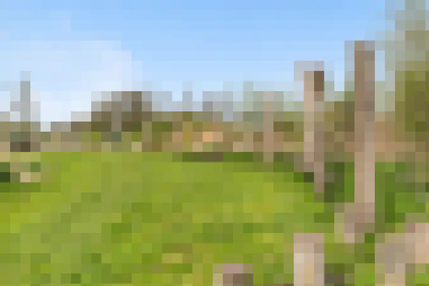 Dijkgraafslag 54 Gouda thumbnail 58