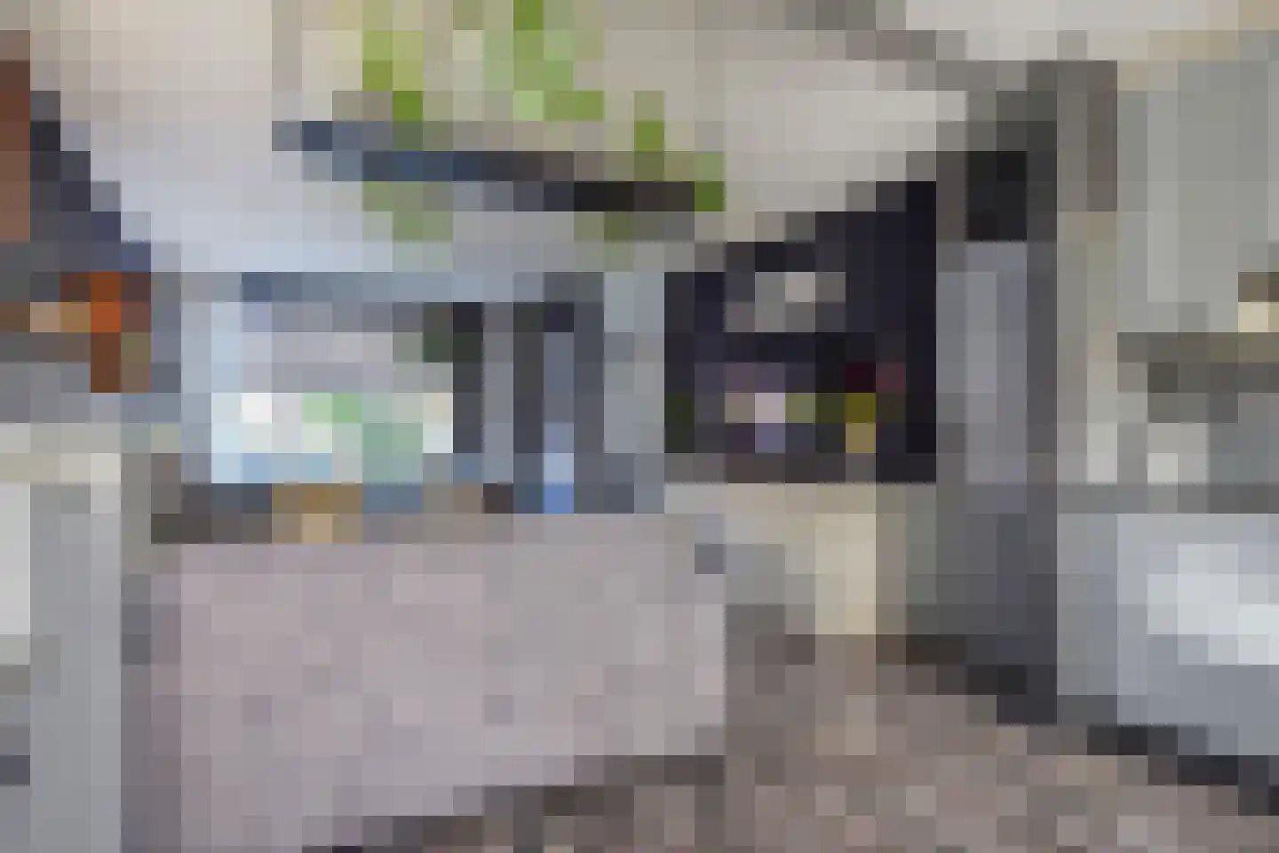 Dijkgraafslag 72 Gouda thumbnail 11