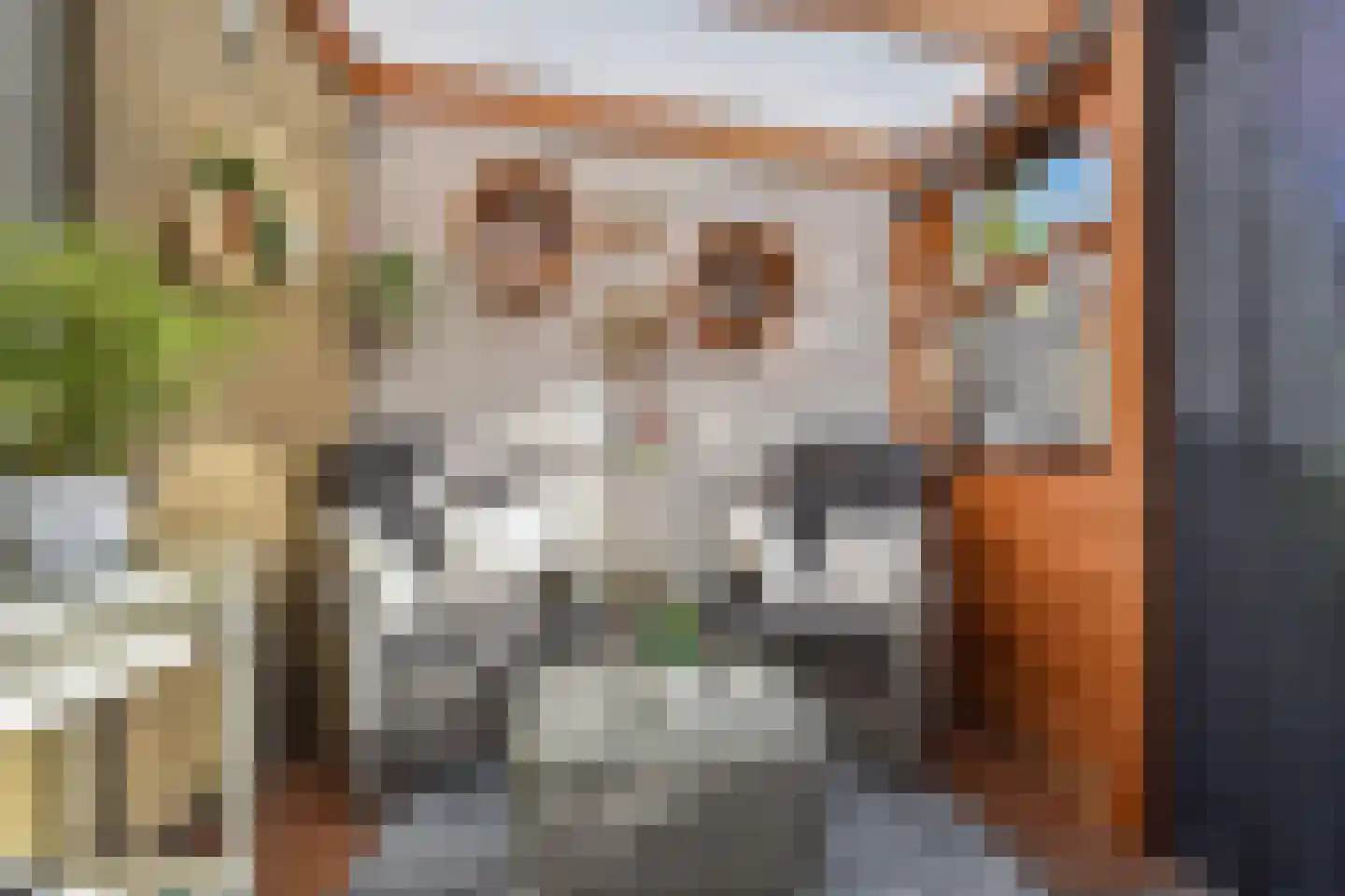 Dijkgraafslag 72 Gouda thumbnail 13