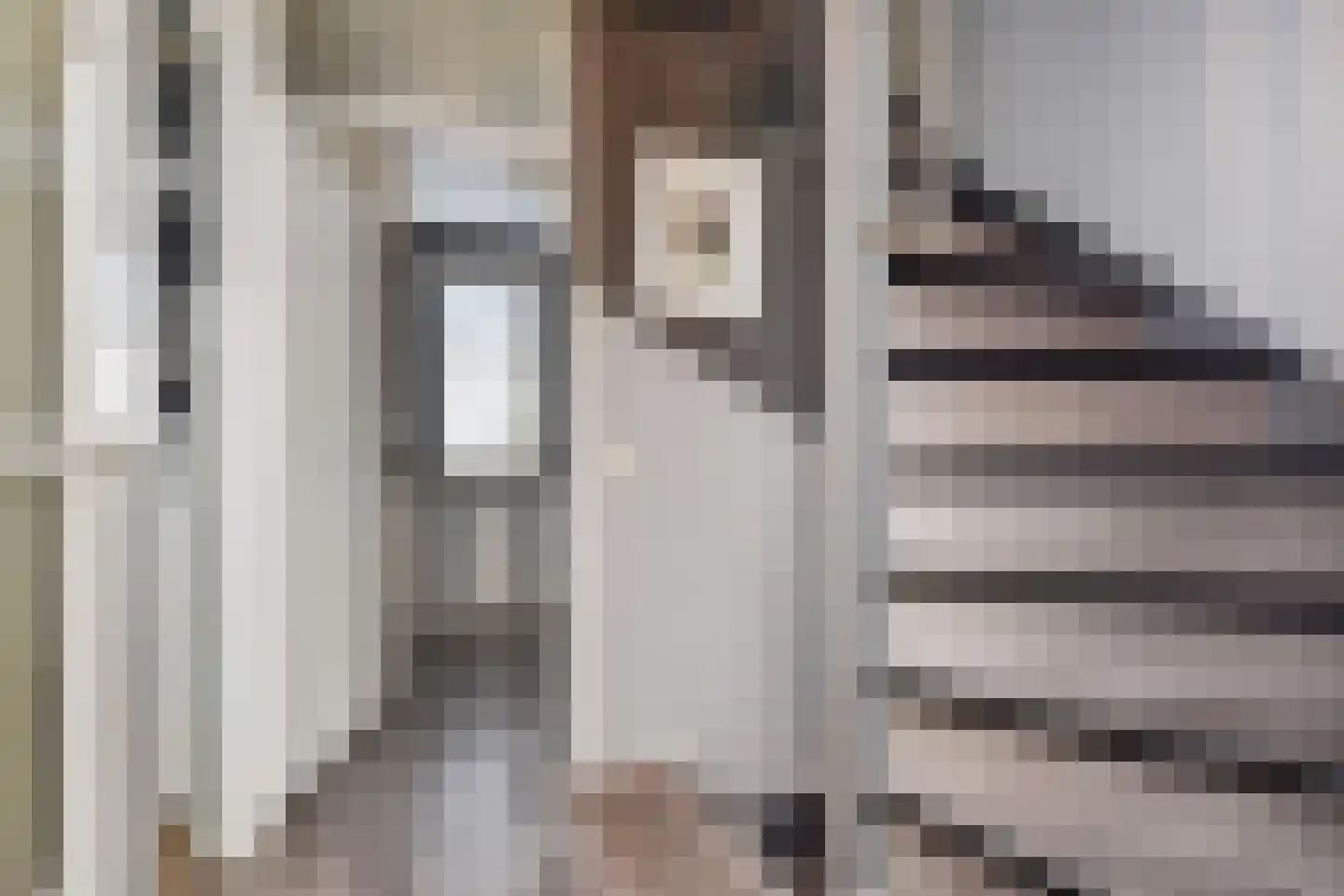 Dijkgraafslag 72 Gouda thumbnail 16
