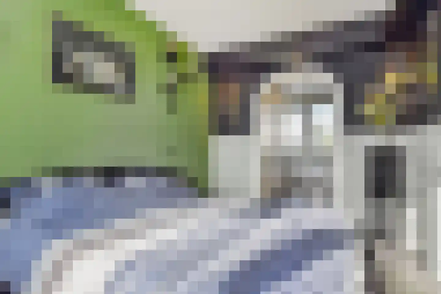 Dijkgraafslag 72 Gouda thumbnail 17