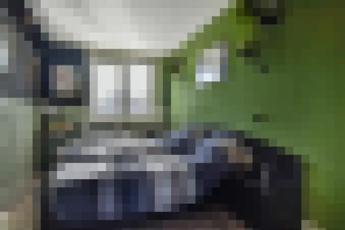 Dijkgraafslag 72 Gouda thumbnail 18
