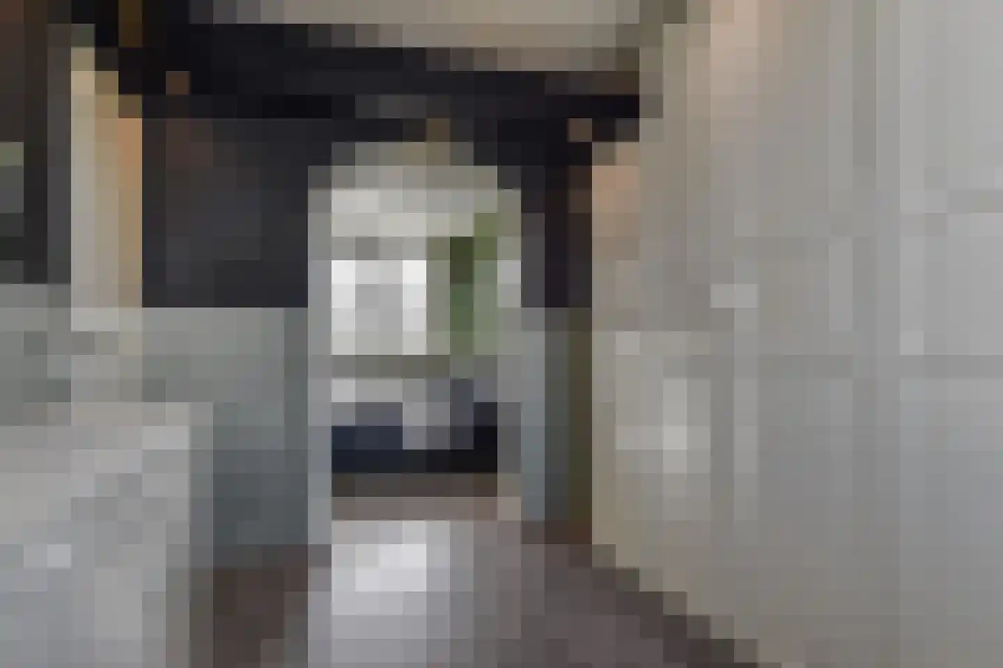Dijkgraafslag 72 Gouda thumbnail 20