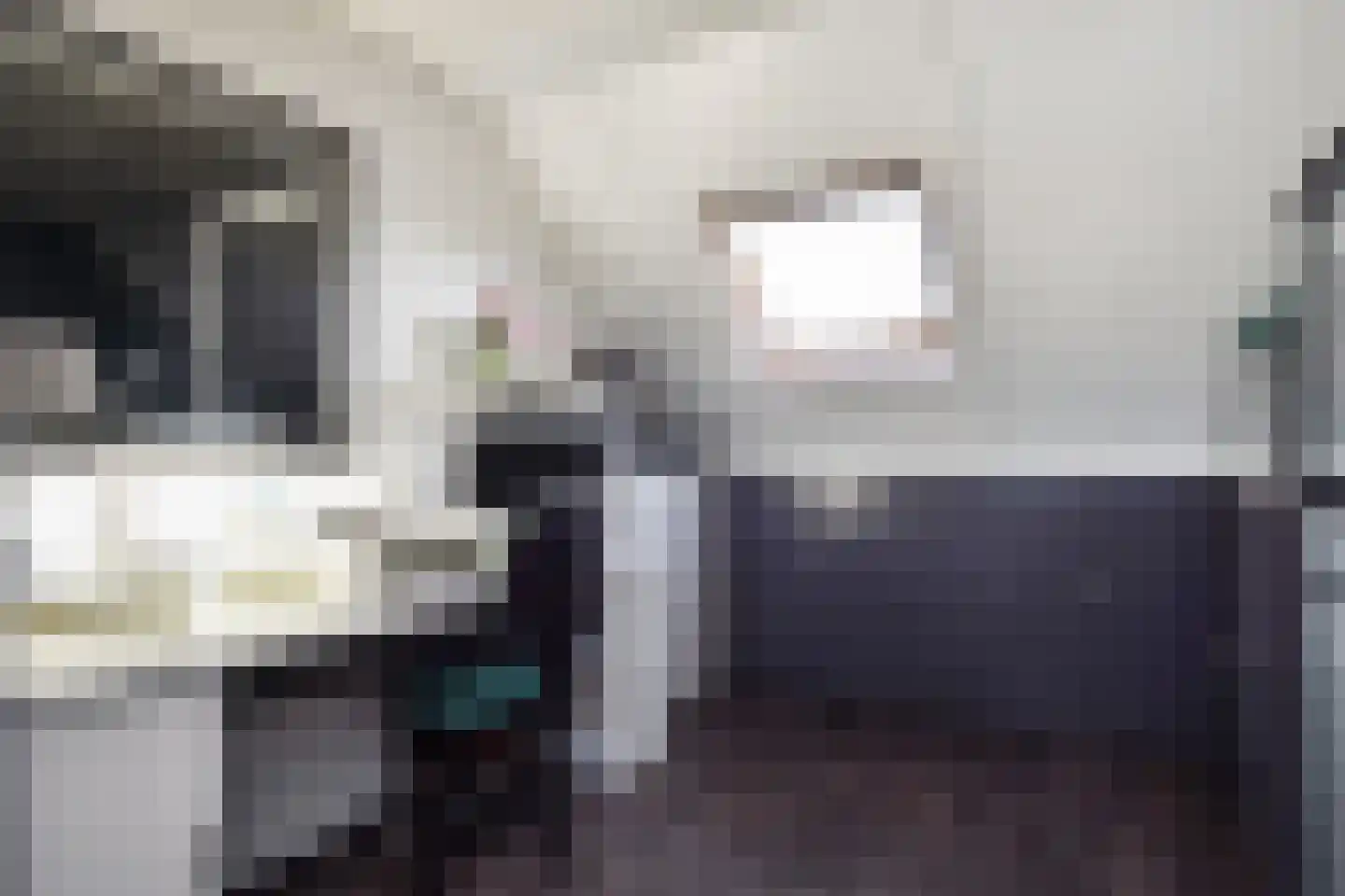 Dijkgraafslag 72 Gouda thumbnail 30
