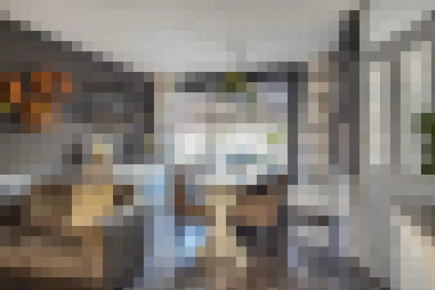 Dijkgraafslag 72 Gouda thumbnail 6