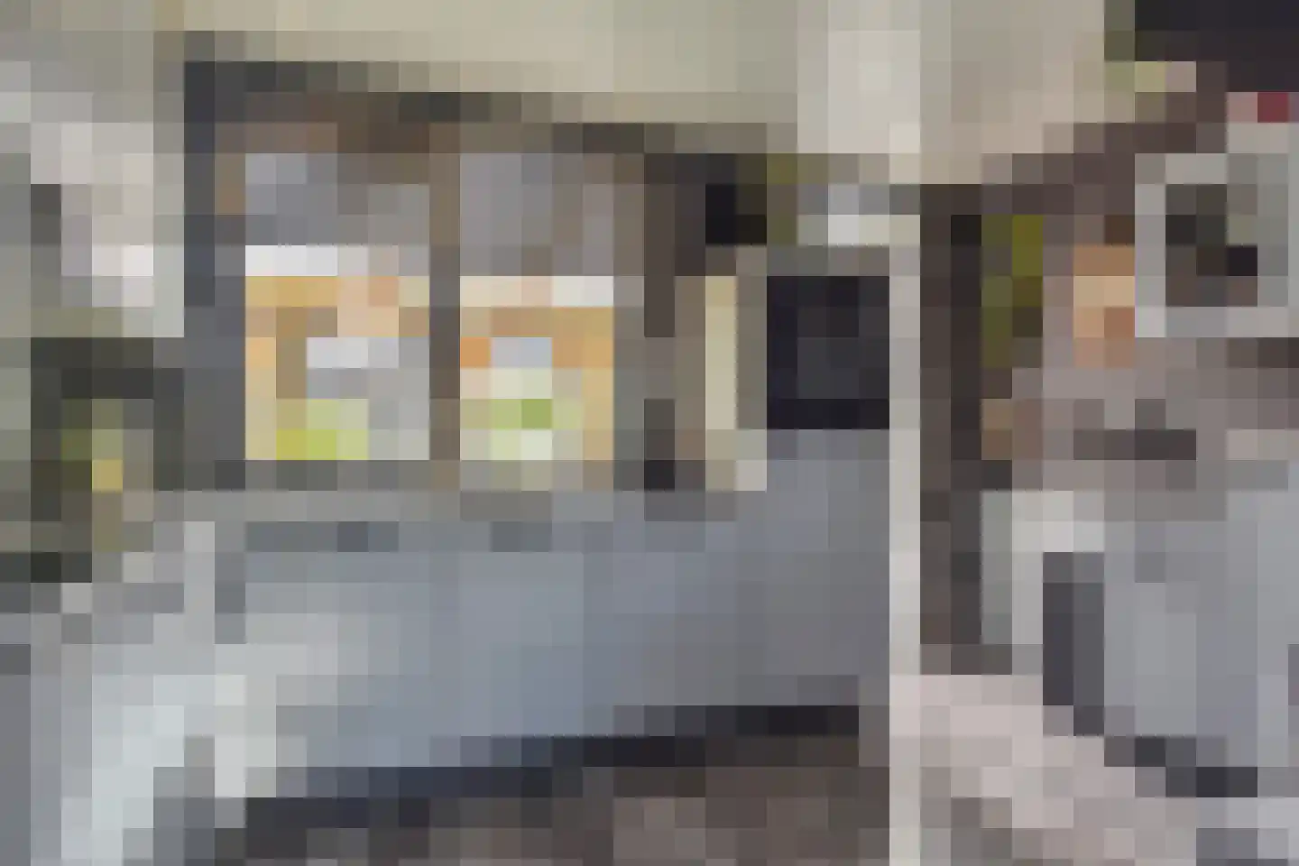 Dijkgraafslag 72 Gouda thumbnail 9