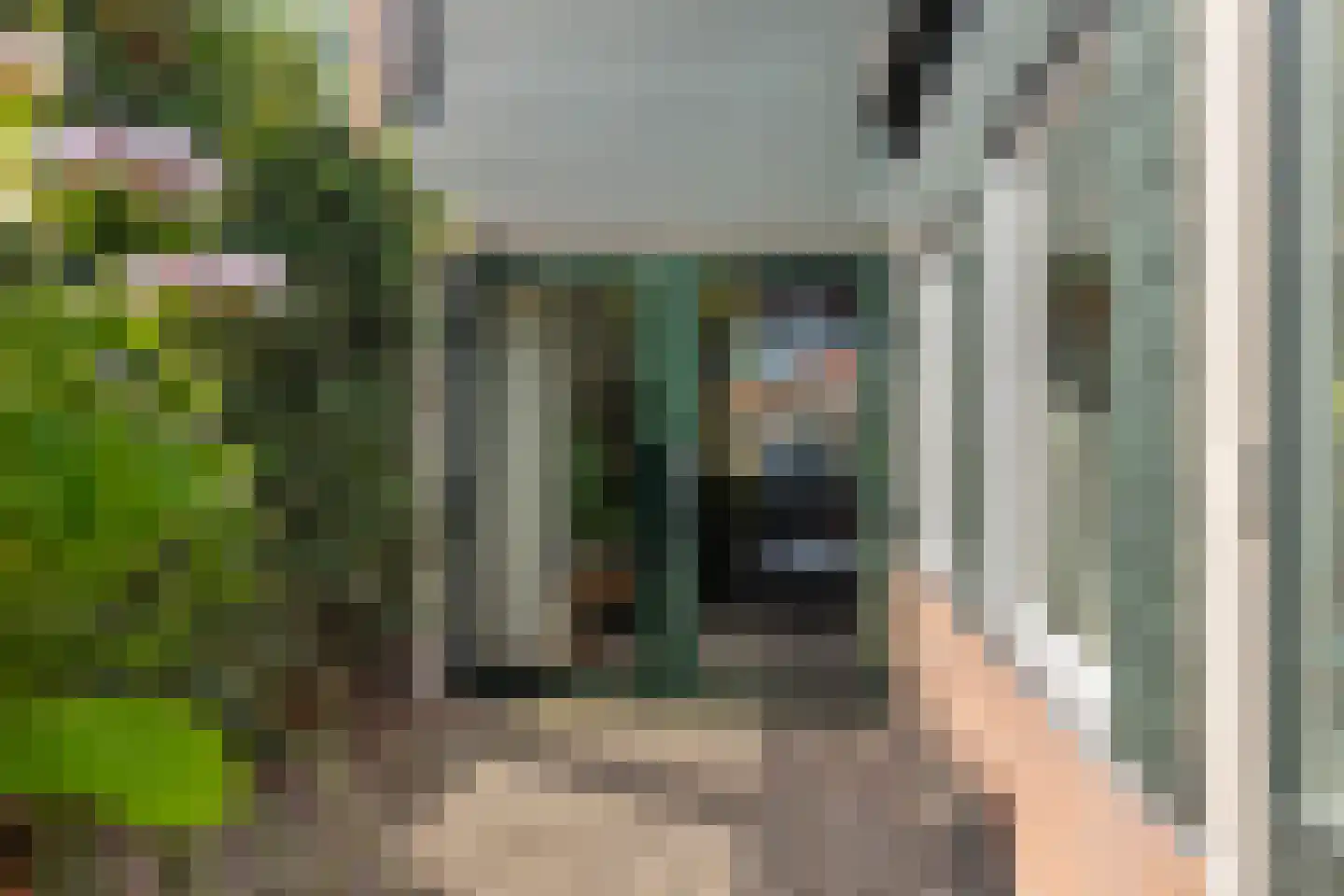 Dijkgraafstraat 35 Alkmaar thumbnail 16