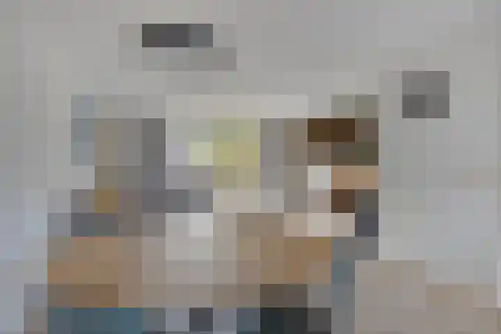 Dijkgraafstraat 35 Delfgauw thumbnail 10