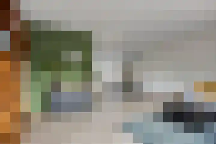 Dijkgraafstraat 35 Delfgauw thumbnail 12
