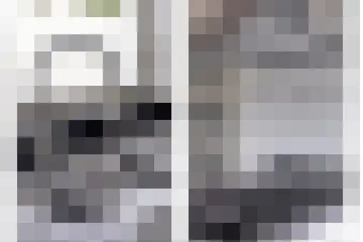 Dijkgraafstraat 35 Delfgauw thumbnail 15