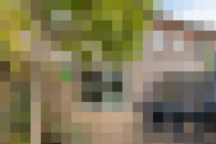 Dijkgraafstraat 35 Delfgauw thumbnail 29